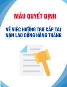 Mẫu Quyết định hưởng trợ cấp tai nạn lao động hằng tháng (Mẫu 03A-HSB) mới nhất