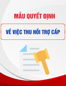 Mẫu Quyết định thu hồi trợ cấp (Mẫu 01C-HSB) mới nhất
