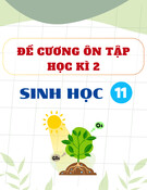 Đề cương ôn tập Sinh học 11: Kinh nghiệm ôn thi hiệu quả, điểm cao