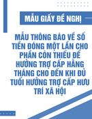 Mẫu Thông báo về số tiền đóng một lần để hưởng trợ cấp hằng tháng, trợ cấp hưu trí xã hội