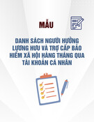 Mẫu Danh sách người hưởng lương hưu và trợ cấp bảo hiểm xã hội hàng tháng qua tài khoản cá nhân