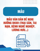 Mẫu văn bản đề nghị hưởng BHXH (thai sản, tai nạn, bệnh nghề nghiệp, lương hưu...) chuẩn nhất