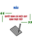 Mẫu Quyết định cá biệt quy định trực tiếp (Mẫu 1.2) chuẩn nhất