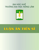 Chiến lược sinh kế của nông hộ miền núi Thừa Thiên Huế: Luận án Tiến sĩ nghiên cứu