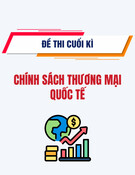 Đề thi cuối kì Chính sách thương mại quốc tế: Tổng hợp [năm]
