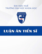 Nghiên cứu Luận án Tiến sĩ: Nghi lễ, phù thuật Đạo giáo trong tín ngưỡng dân gian người Việt ở Trung Bộ