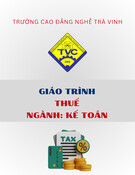 Giáo trình Thuế Kế toán Cao đẳng - Trường Cao đẳng nghề Trà Vinh (Mới nhất)
