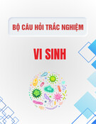 Bộ câu hỏi trắc nghiệm Vi sinh [năm] mới nhất
