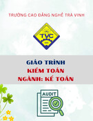 Giáo trình Kiểm toán (Cao đẳng): Ngành Kế toán - Trường Cao đẳng nghề Trà Vinh