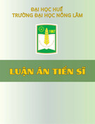 Nghiên cứu ảnh hưởng ngập lụt, hạn hán đến sử dụng đất nông nghiệp tại huyện Quảng Điền, Thừa Thiên Huế trong bối cảnh biến đổi khí hậu: Luận án Tiến sĩ
