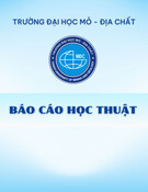 Đánh giá xu thế đô thị hóa tại TP.HCM (1998-2020) bằng công nghệ viễn thám và GIS: Báo cáo học thuật