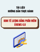 Hướng dẫn thực hành Kinh tế lượng bằng phần mềm EViews 4.0