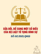 Luật số 02/2021/QH15: Sửa đổi, Bổ sung một số điều của Bộ luật Tố tụng hình sự (Mới nhất)