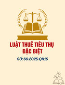 Luật Thuế tiêu thụ đặc biệt: Luật số 66/2025/QH15 mới nhất