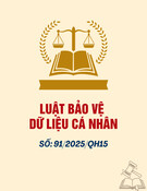 Luật Bảo vệ dữ liệu cá nhân: Luật số 91/2025/QH15 Mới Nhất