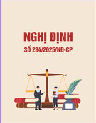 Nghị định 284/2025/NĐ-CP: [Mô tả chi tiết về nội dung nghị định, ví dụ: Hướng dẫn thi hành Luật X, sửa đổi bổ sung Nghị định Y]