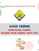 Giáo trình Nuôi ngao, nghêu tốt nhất (Ngành Nuôi trồng thủy sản - Trung cấp/Cao đẳng) - Trường Cao đẳng nghề Trà Vinh