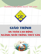Giáo trình An toàn lao động Nuôi trồng thủy sản (Trung cấp/Cao đẳng) - Trường Cao đẳng nghề Trà Vinh