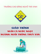 Giáo trình Nuôi cá nước ngọt tốt nhất 2024 (Ngành Nuôi trồng thủy sản - Trung cấp/Cao đẳng) - Trường Cao đẳng nghề Trà Vinh