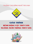 Giáo trình Bệnh động vật thủy sản Nuôi trồng thủy sản Trung cấp/Cao đẳng - Trường Cao đẳng nghề Trà Vinh