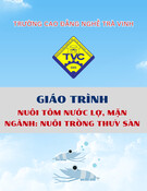 Giáo trình Nuôi tôm nước lợ, mặn (Trung cấp/Cao đẳng) - Trường Cao đẳng nghề Trà Vinh