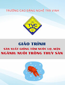 Giáo trình Sản xuất giống tôm nước lợ, mặn (Trung cấp/Cao đẳng) - Trường Cao đẳng nghề Trà Vinh [Mới nhất]