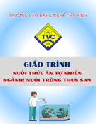 Giáo trình Nuôi thức ăn tự nhiên Nuôi trồng thủy sản Cao đẳng - Trường Cao đẳng nghề Trà Vinh