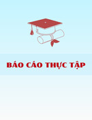Báo cáo thực tập tại Công ty Cổ phần TEDCO Việt Nam