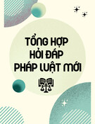 Tổng hợp hỏi đáp pháp luật mới nhất