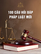 100 câu hỏi đáp pháp luật mới nhất