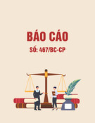 Báo cáo số 467/BC-CP: Phân tích chi tiết và đánh giá chuyên sâu