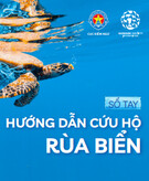 Sổ tay hướng dẫn cứu hộ rùa biển chuẩn nhất