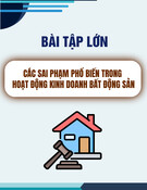 Sai phạm phổ biến trong kinh doanh bất động sản: Bài tập lớn