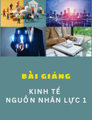 Bài giảng Kinh tế nguồn nhân lực: Chương 2 - Nguồn nhân lực và phân bổ nguồn nhân lực