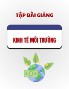 Bài giảng Kinh tế môi trường: Tổng hợp kiến thức [năm]
