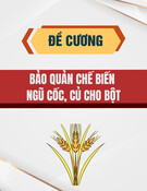 Đề cương môn Bảo quản chế biến ngũ cốc, củ cho bột