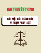 Vi phạm pháp luật: Các mặt cấu thành (Bài thuyết trình)