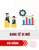 Bài giảng Kinh tế vi mô: Các lực lượng cung cầu trên thị trường (Bài 2)