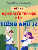 Bộ đề thi học kì 1 Tiếng Anh 12 Global success có đáp án