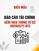 Mẫu Báo cáo tình hình tài chính cho doanh nghiệp không hoạt động liên tục (Thông tư 99/2025/TT-BTC)