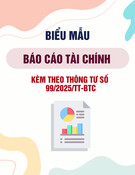 Mẫu Bản Thuyết Minh Báo Cáo Tài Chính Chọn Lọc Kèm Thông tư 99/2025/TT-BTC