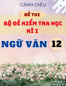 Đề thi học kì 1 Văn 12 Cánh diều