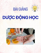 Bài giảng Dược động học [chuẩn nhất]