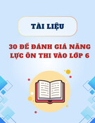 30 Đề Đánh Giá Năng Lực Lớp 6: Tài liệu ôn thi Khoa học Tự nhiên, Toán, Khoa học Xã hội, Tiếng Việt, Tiếng Anh
