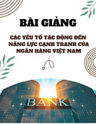 Các yếu tố tác động đến năng lực cạnh tranh của Ngân hàng Việt Nam: Bài giảng chi tiết