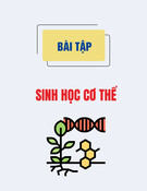 Bài tập Sinh học cơ thể