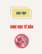 Bài tập Sinh học tế bào: Tổng hợp bài tập môn Sinh học tế bào