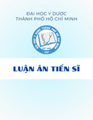 Ung thư đại trực tràng di căn gan: Đánh giá kết quả điều trị chuyển đổi với phác đồ FOLFOXIRI | Luận án Tiến sĩ