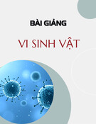 Bài giảng ký sinh trùng sốt rét: Vi sinh vật học