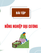 Bài tập Nông nghiệp đại cương [nếu có thêm thông tin về loại bài tập, ví dụ: trắc nghiệm, thực hành,... thì bổ sung vào]